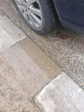 Opel Zafira, снимка 5