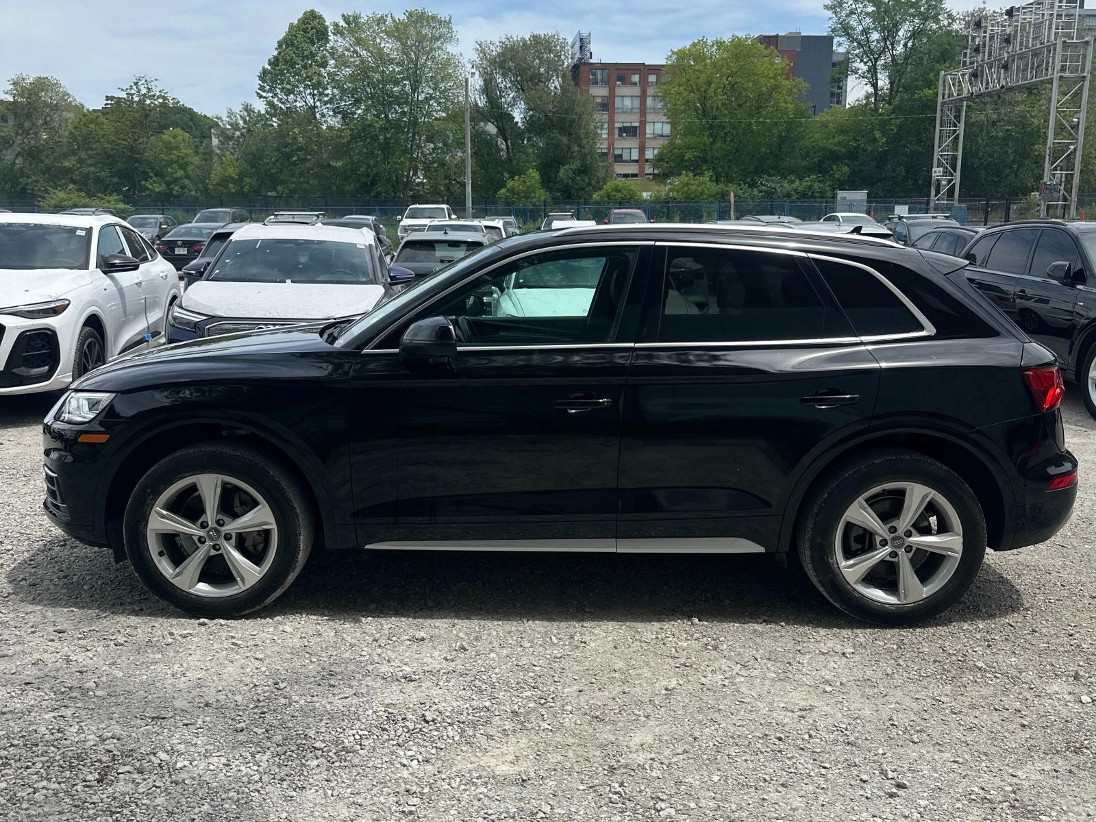 Audi Q5 CARFAX * * АВТО КРЕДИТ - изображение 3