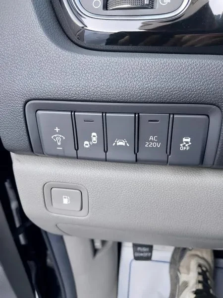 Kia Carnival Gasoline 9-Seater Noblesse, снимка 15 - Автомобили и джипове - 55948928