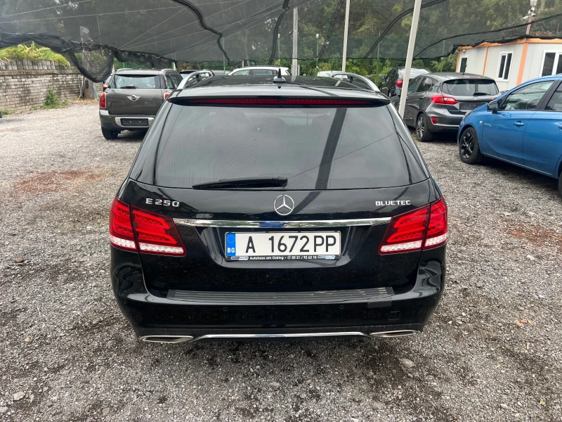 Mercedes-Benz E 250 BLUETEC 4 MATIC, снимка 6 - Автомобили и джипове - 51972675