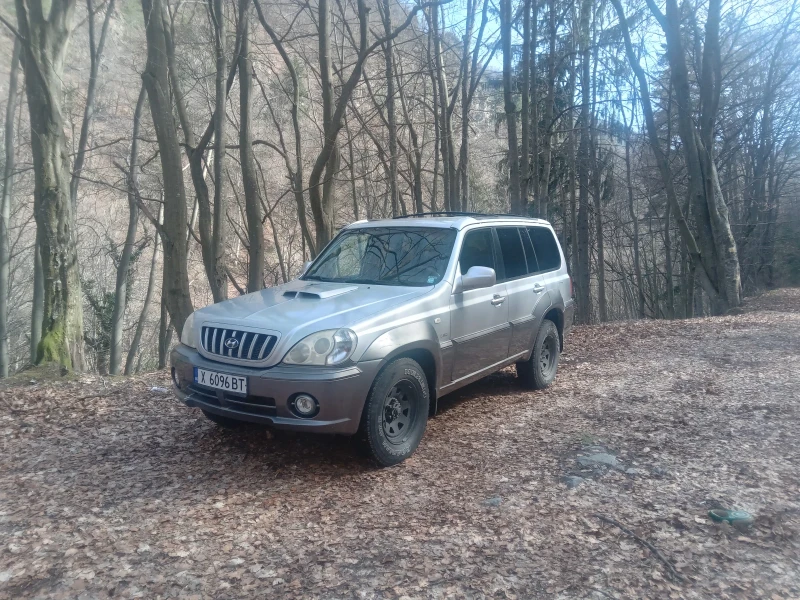 Hyundai Terracan, снимка 2 - Автомобили и джипове - 52321006