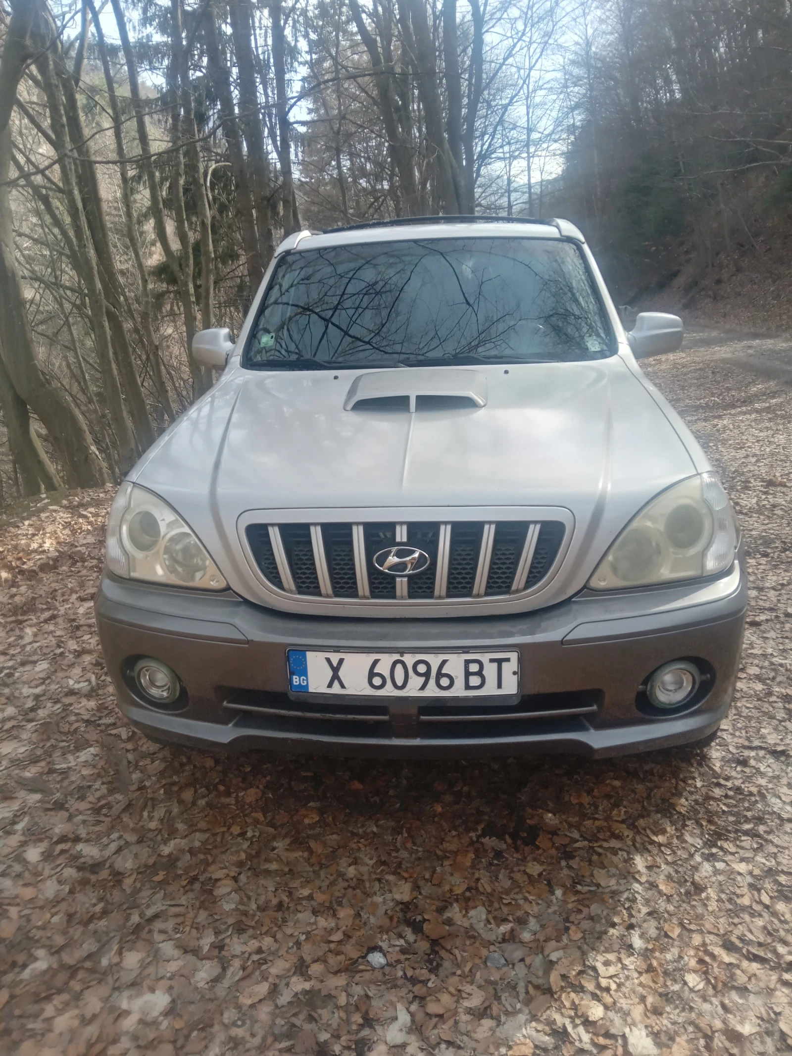 Hyundai Terracan, снимка 1