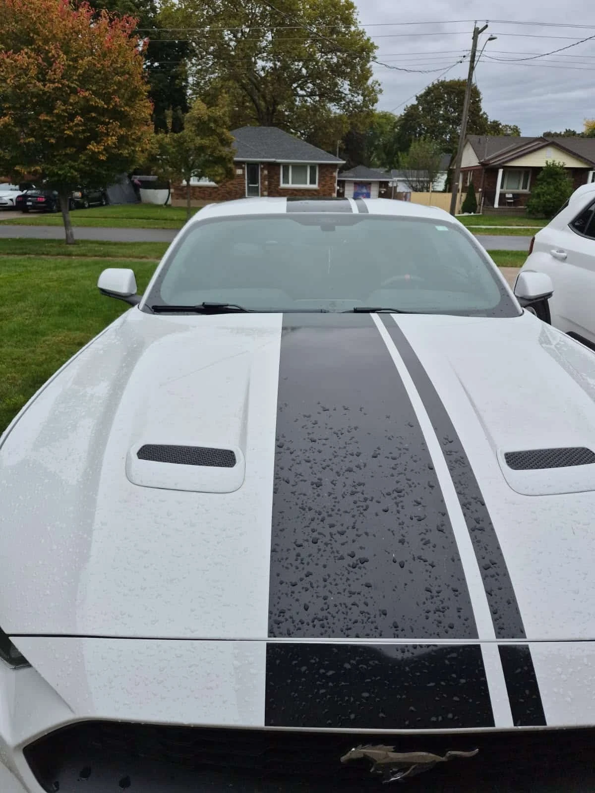 Ford Mustang * EcoBoost * CARFAX * ����� �� ����������� | Mobile.bg � ����������� 4