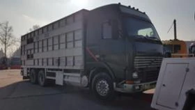 Volvo Fh 12  | Mobile.bg    10