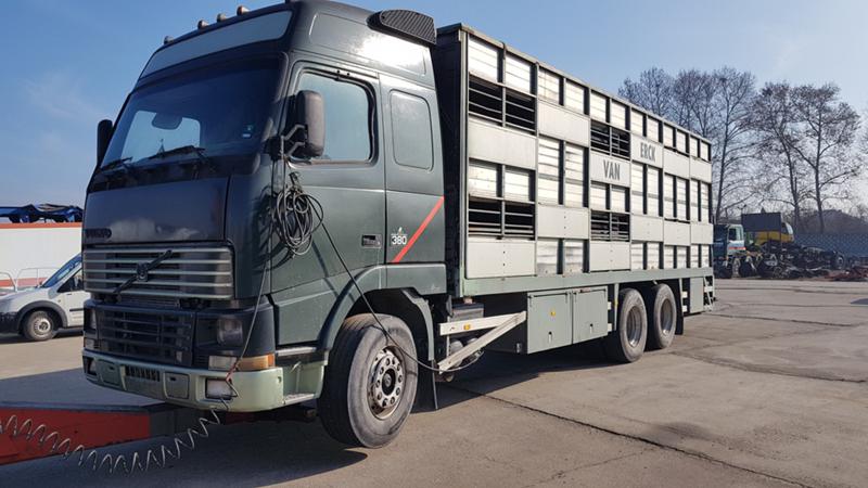 Volvo Fh 12 животновоз, снимка 5 - Камиони - 27621585