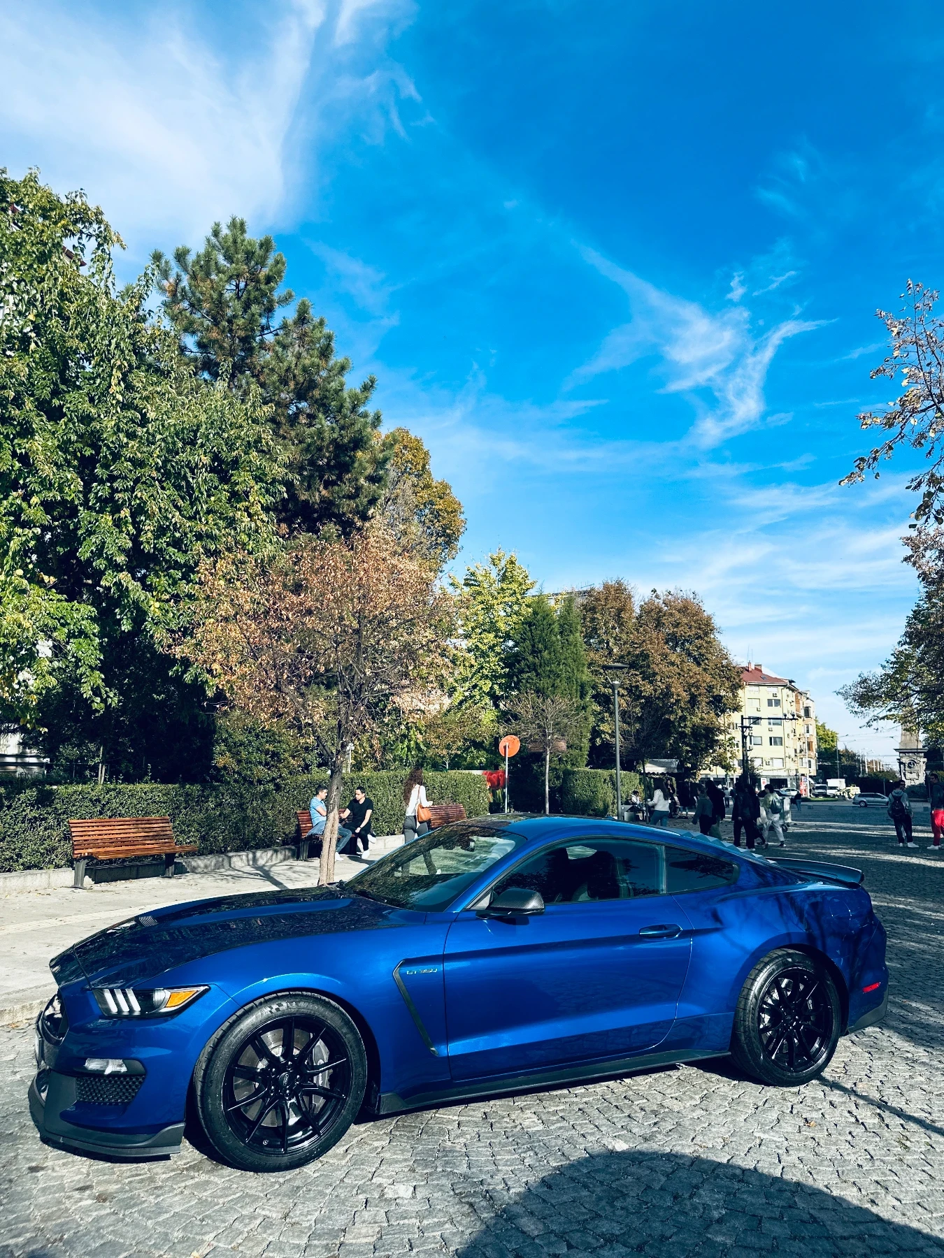 Ford Mustang GT350 - изображение 7