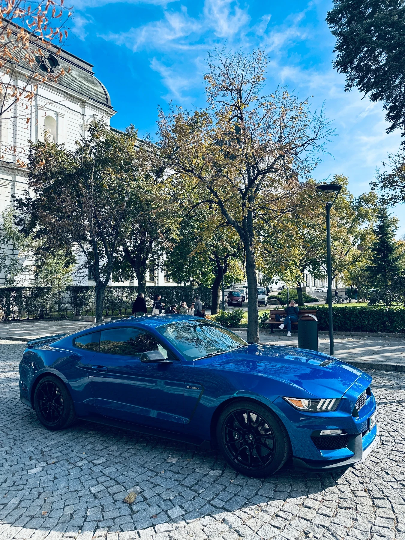Ford Mustang GT350 - изображение 6