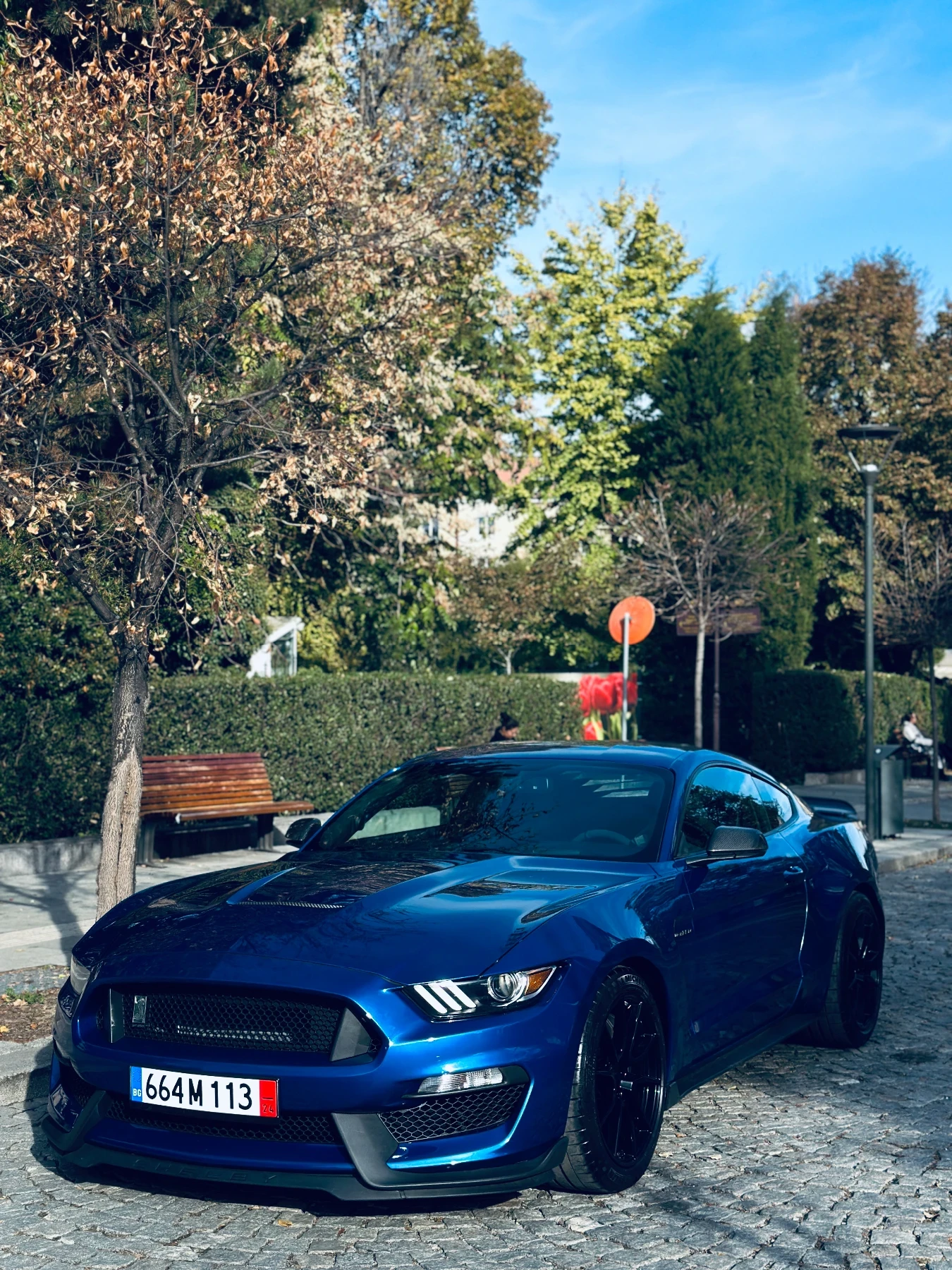 Ford Mustang GT350 - изображение 5