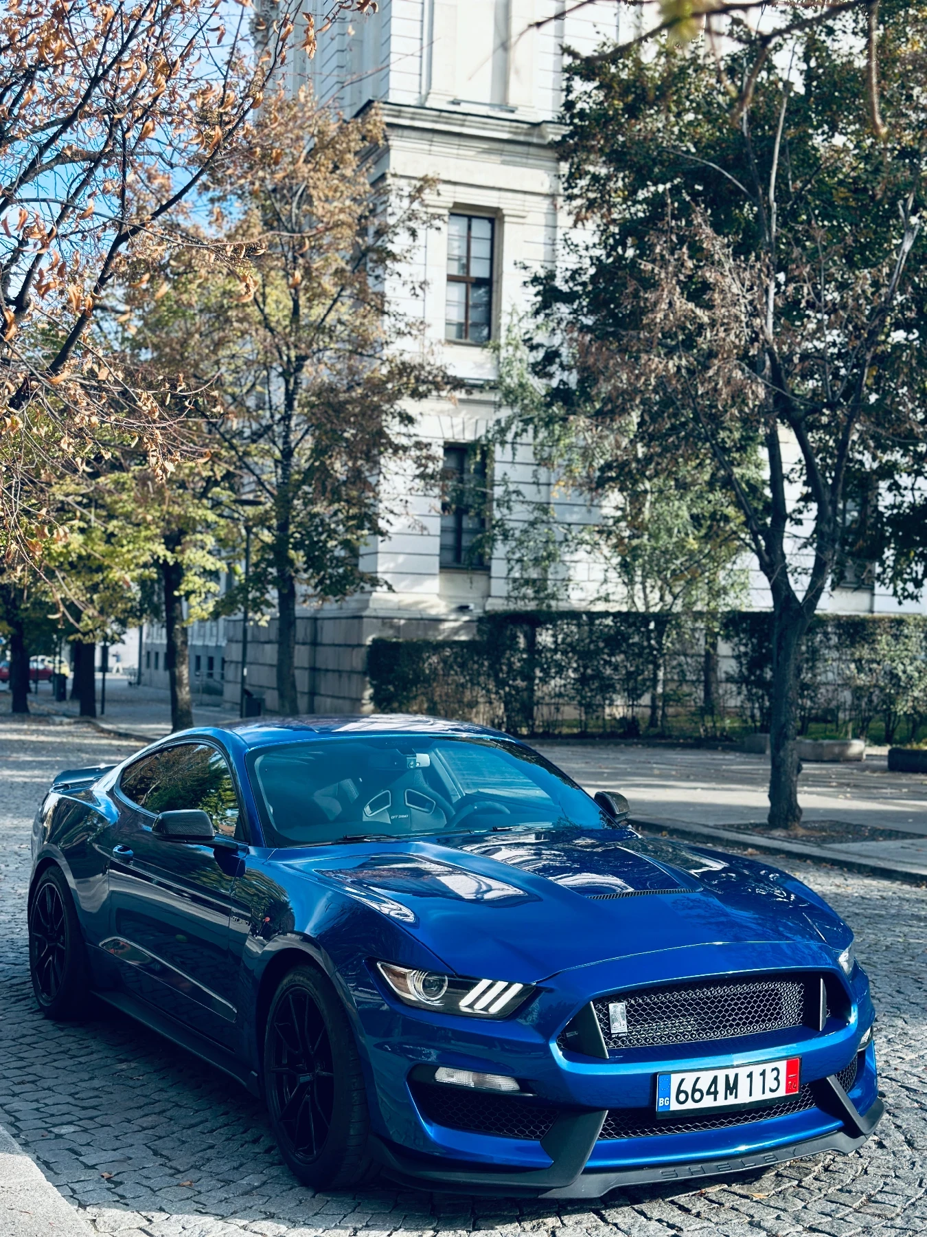 Ford Mustang GT350 - изображение 4