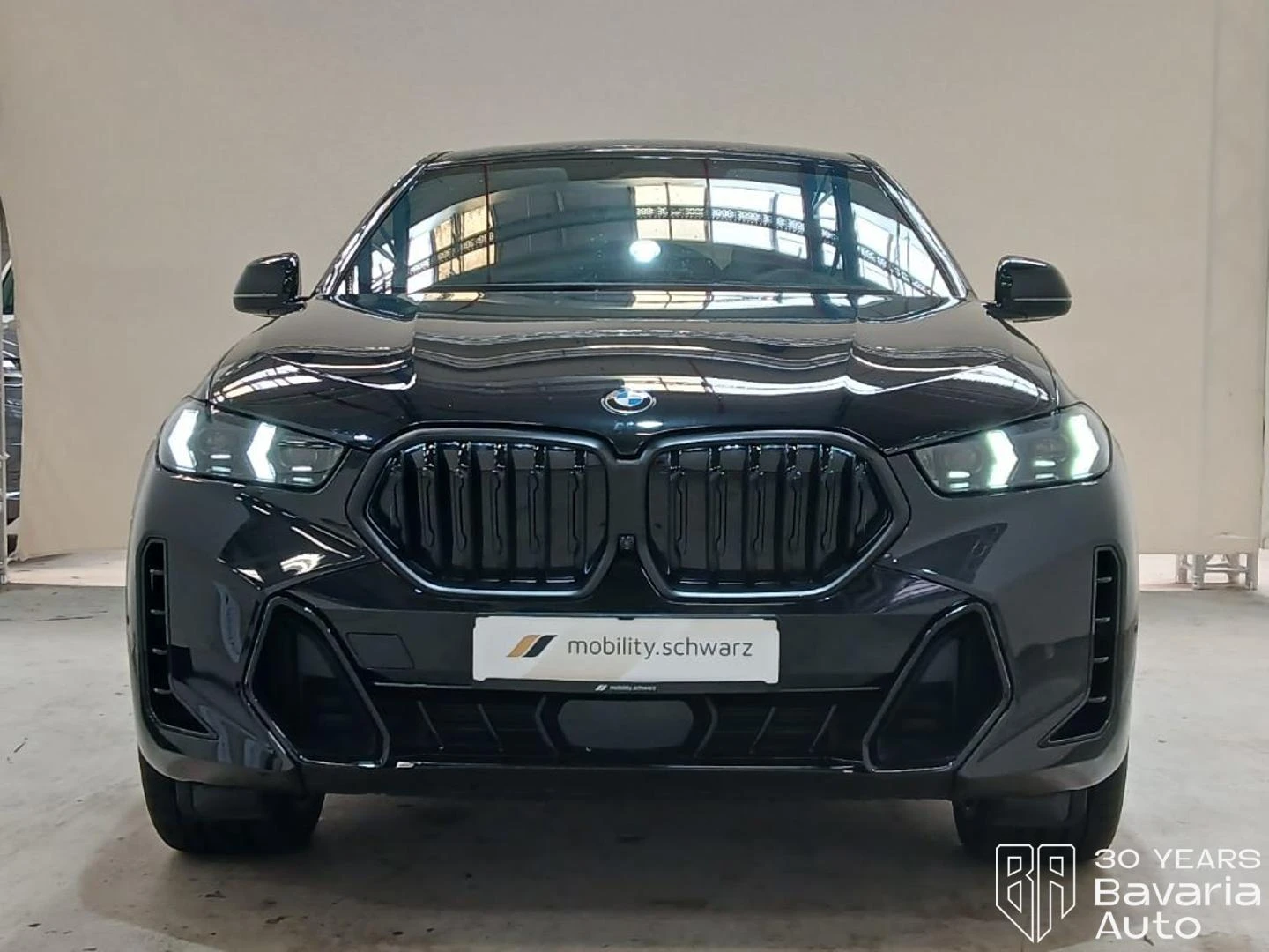 BMW X6 30d xDrive M Sport Paket, снимка 6 - Автомобили и джипове - 55215087