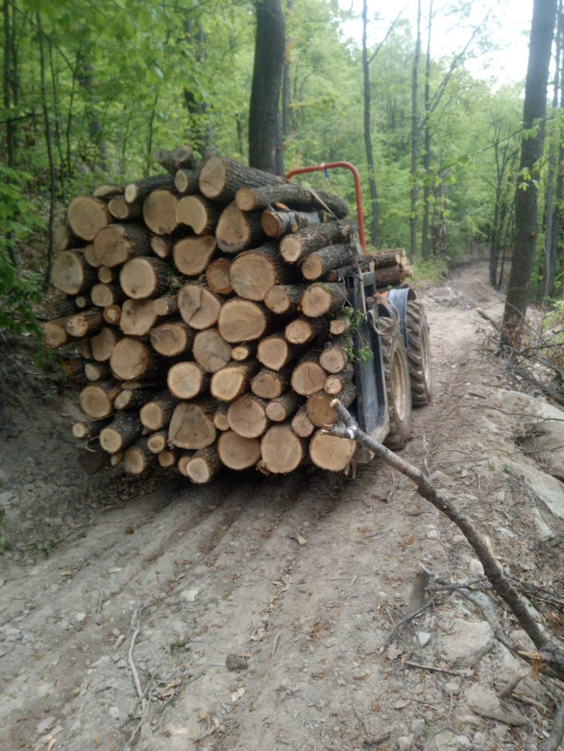 Специализирани машини Машини за дърводобив VALPADANA, снимка 15 - Селскостопанска техника - 45712311