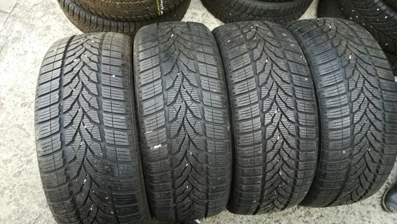 Гуми Зимни 225/50R17, снимка 1 - Гуми и джанти - 26740040