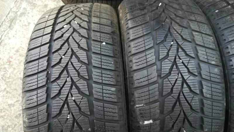 Гуми Зимни 225/50R17, снимка 2 - Гуми и джанти - 26740040