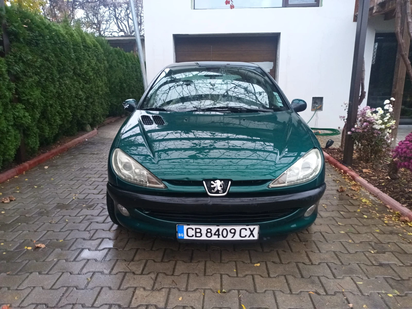 Peugeot 206 Roland Garros - изображение 8
