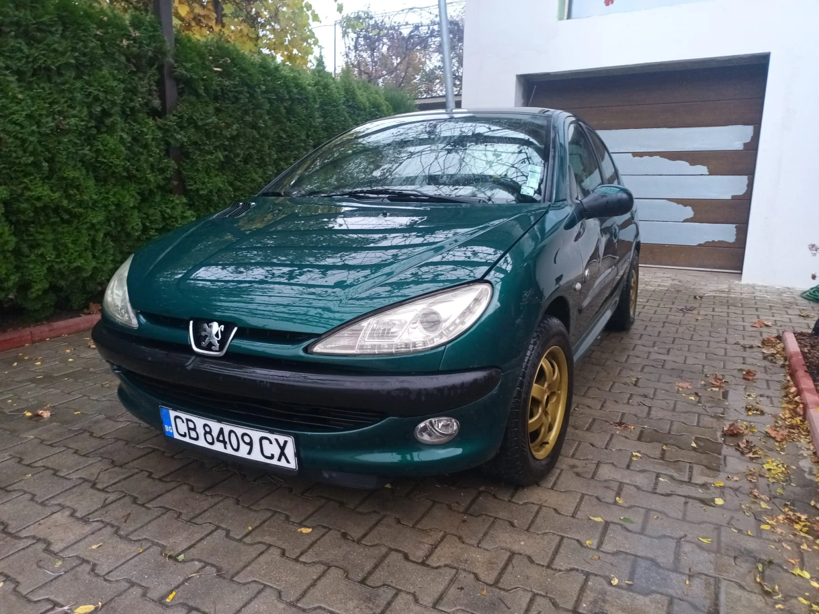 Peugeot 206 Roland Garros - изображение 9