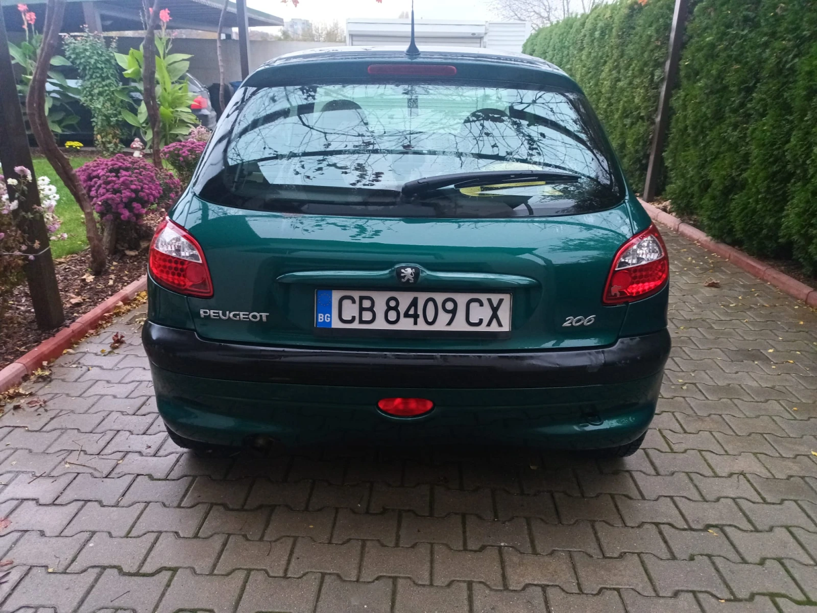 Peugeot 206 Roland Garros - изображение 5