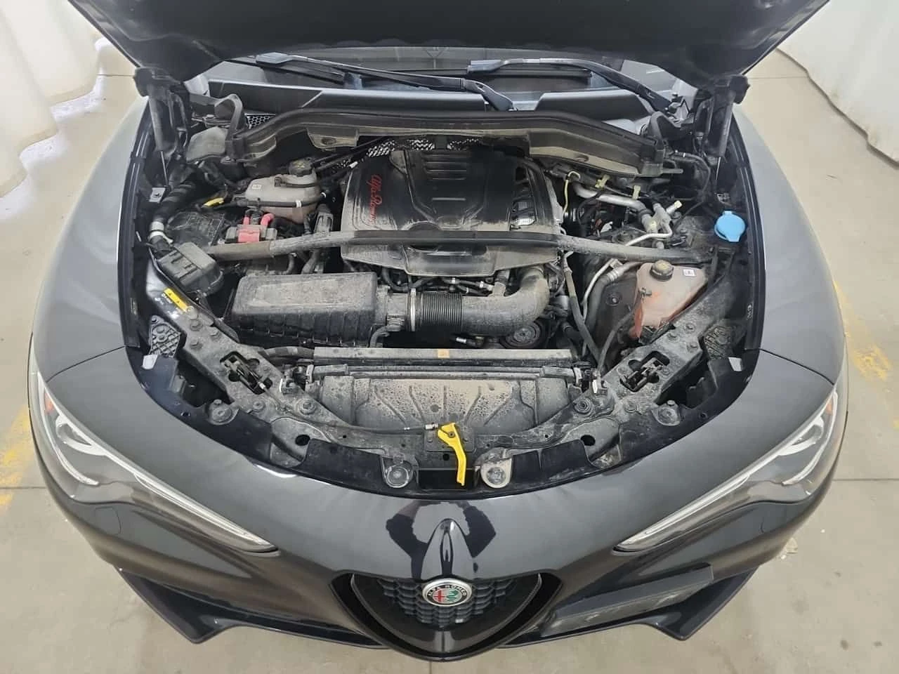 Alfa Romeo Stelvio * ESTREMA * CARFAX * ЦЕНА ДО БГ, снимка 15 - Автомобили и джипове - 54729472