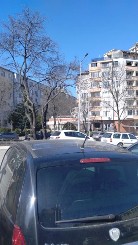 Lancia Musa 1400 - 1800 € / 3520.49 лв. - 45518506 2