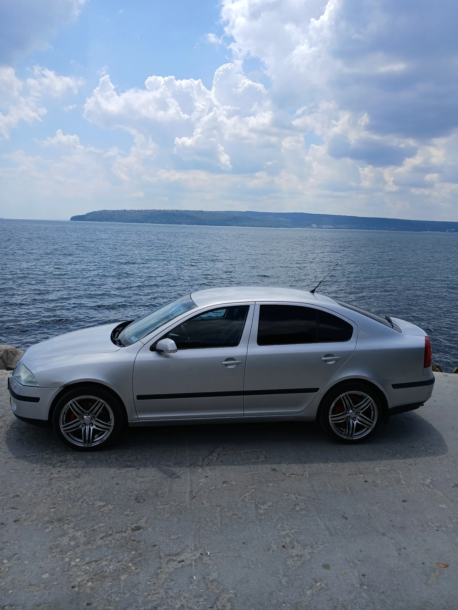 Skoda Octavia 2005 1.9 tdi 105к.с. - изображение 5