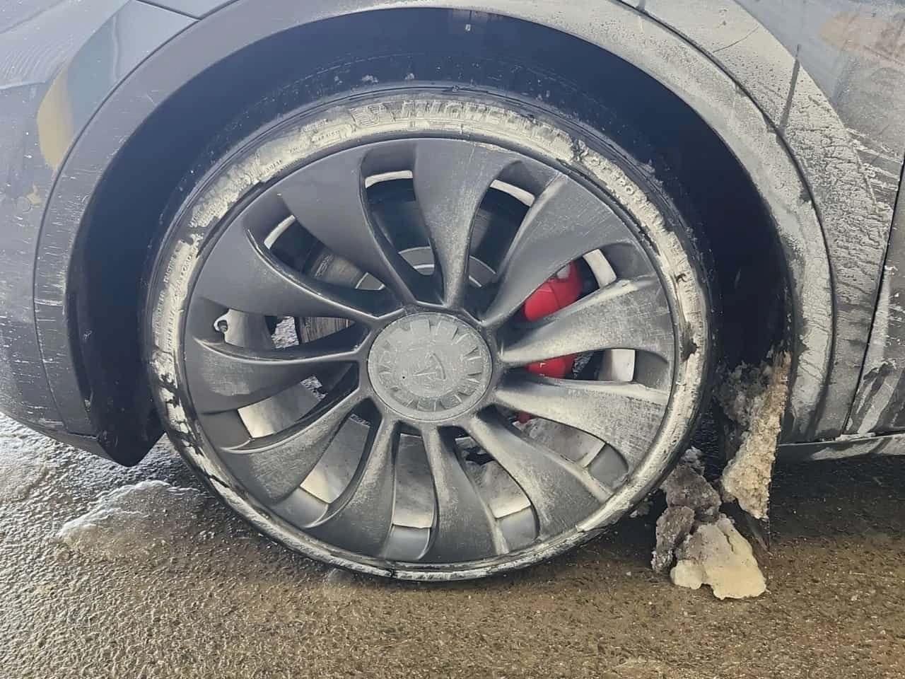 Tesla Model Y PERFORMANCE| PANORAMA| CARFAX, снимка 6 - Автомобили и джипове - 53948301