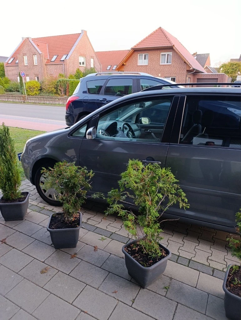 VW Touran 1.6 | Mobile.bg   4