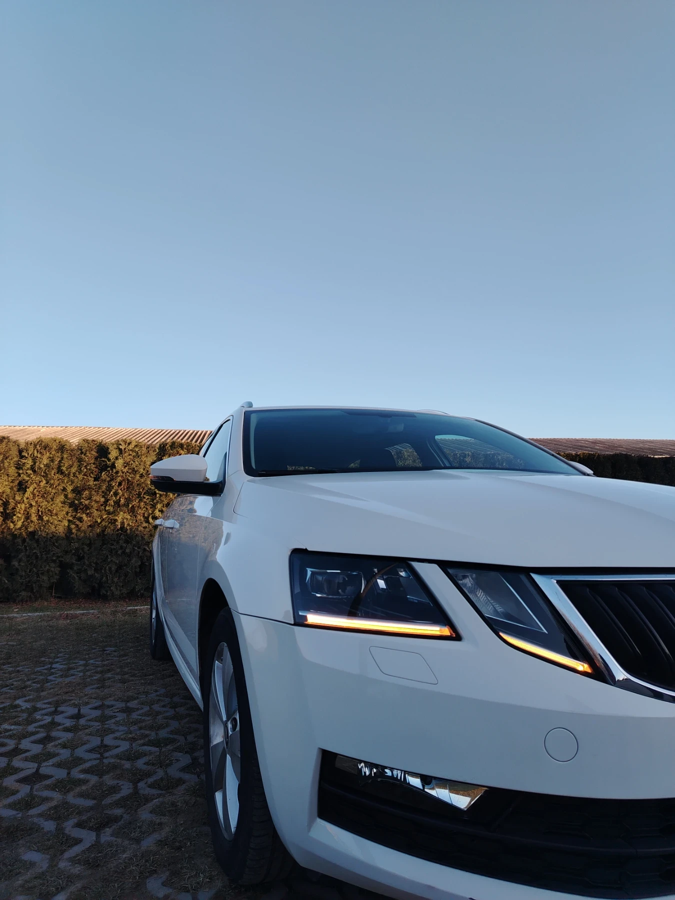 Skoda Octavia  - изображение 3