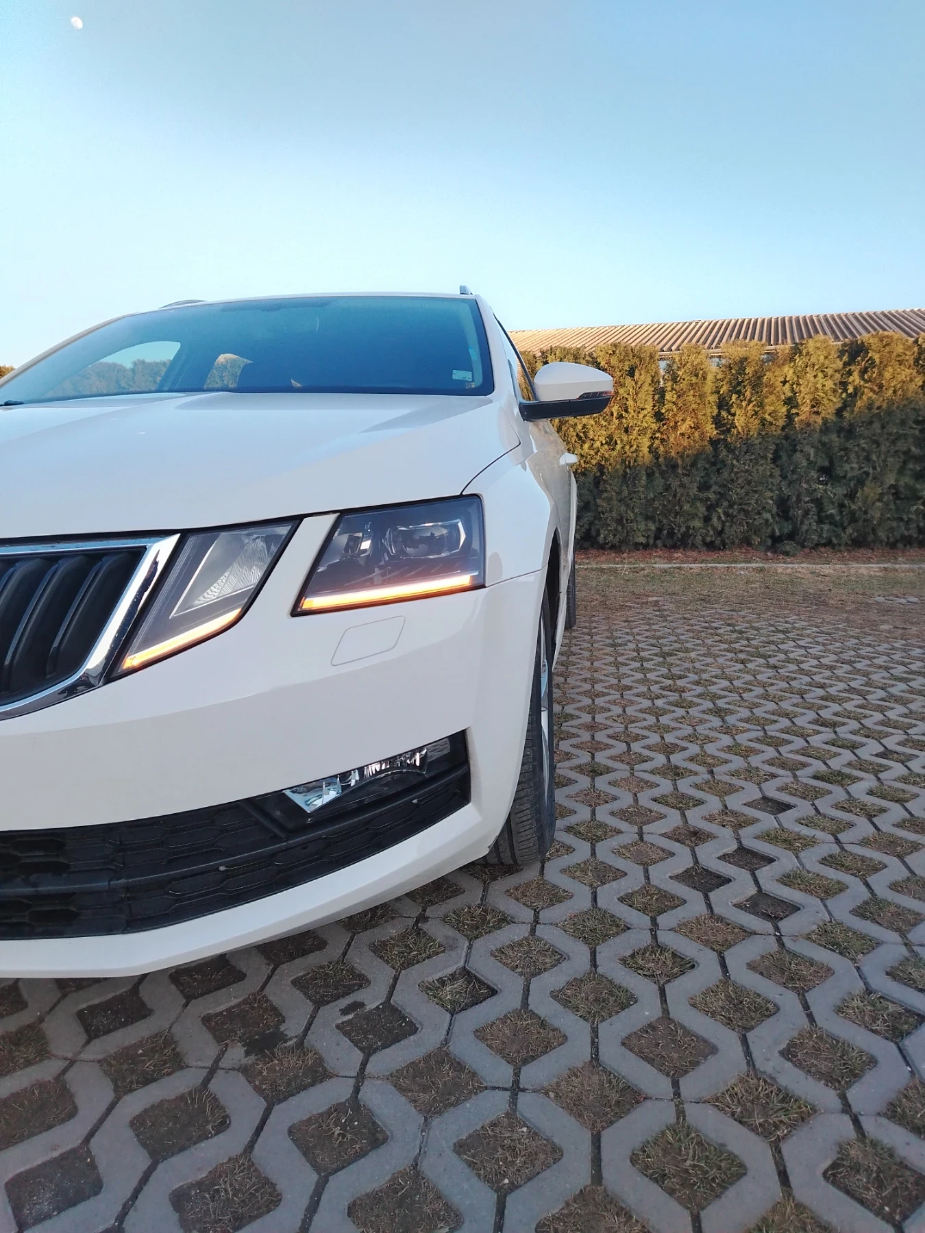 Skoda Octavia  - изображение 4