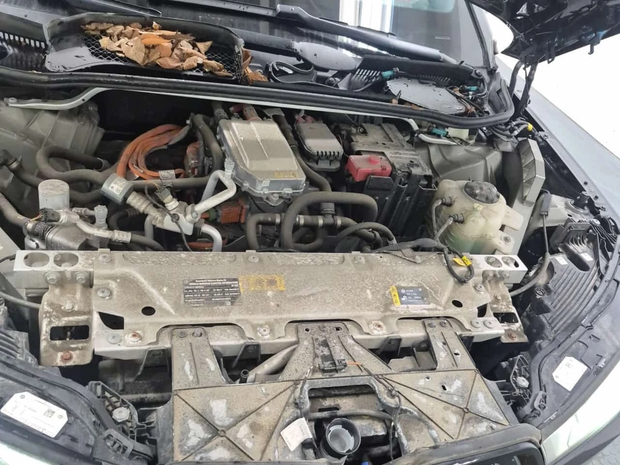 BMW iX Sports Activity Vehicle Xdrive40 * CARFAX *  | Mobile.bg � ����������� 16