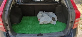 Kia Ceed | Mobile.bg    6