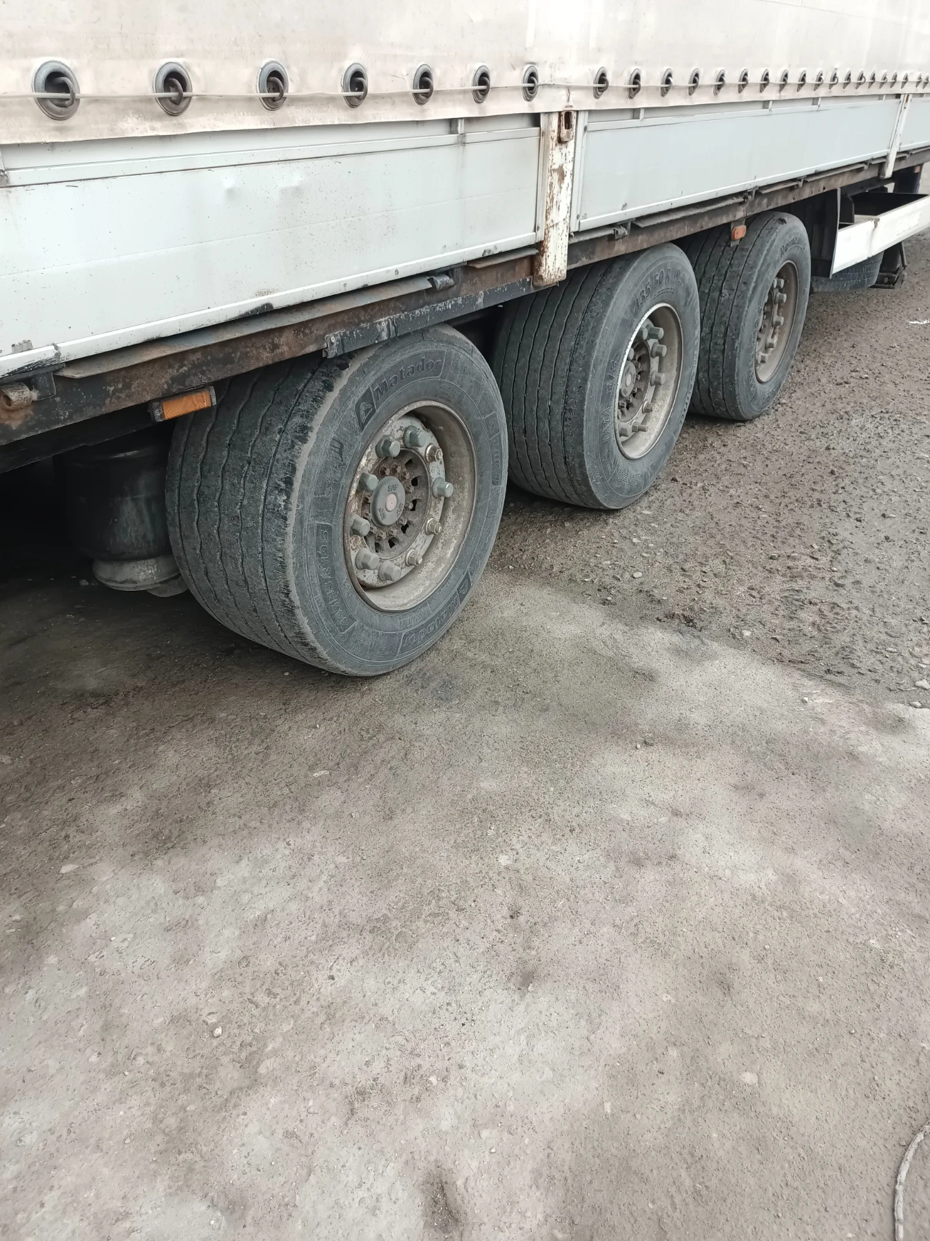 Daf XF 105 FT Mega  | Mobile.bg � ����������� 13