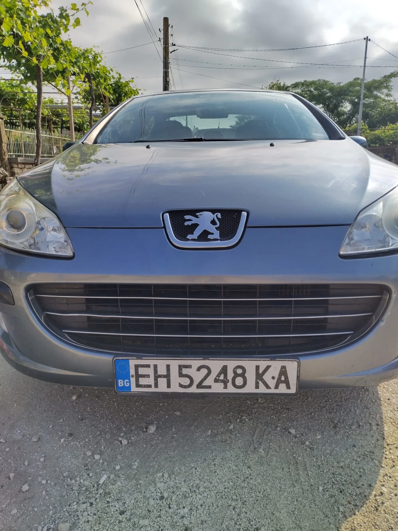 Peugeot 407