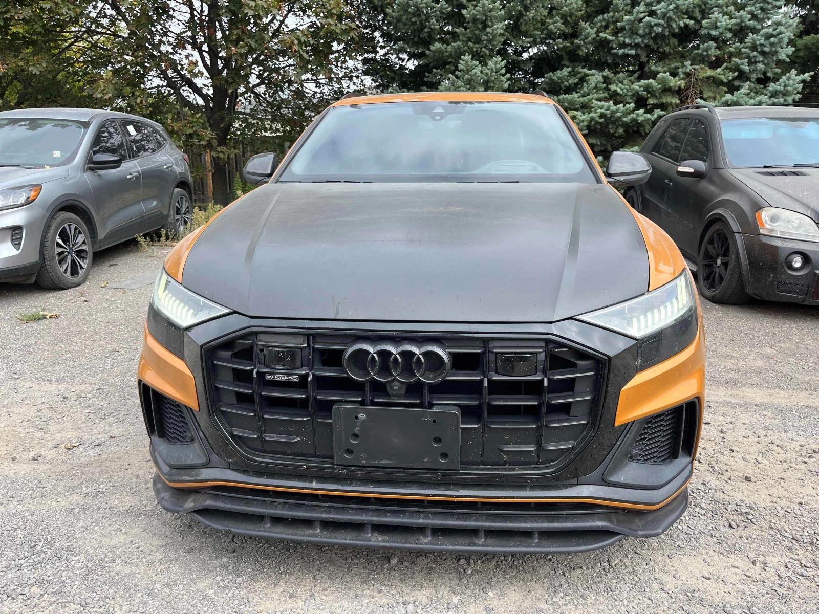 Audi Q8 | TECHNIK | CARFAX | ���� �� �������� & ���������� | Mobile.bg � ����������� 2