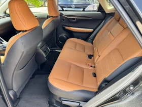 Lexus NX 300h 2.5h 197к.с Luxury ГАРАНЦИЯ HUD 360 FULL 79000км. - 66666 лв. - 76067865 12