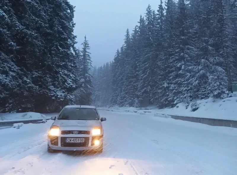 Ford Fusion 1.6 тдци