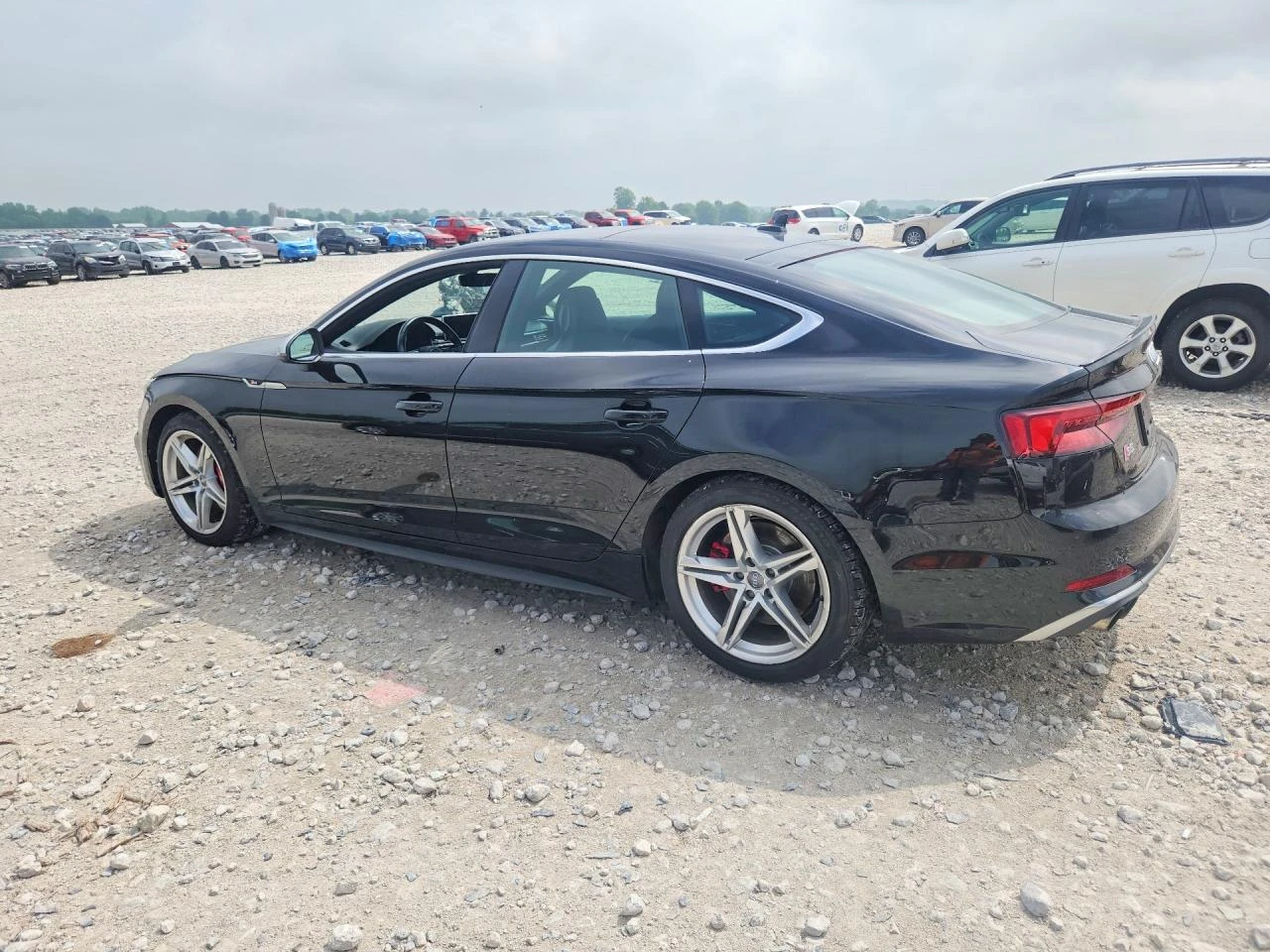 Audi S5 PRESTIGE| HUD| BANG&OLUFSEN| 360| 8ZF | Mobile.bg � ����������� 4