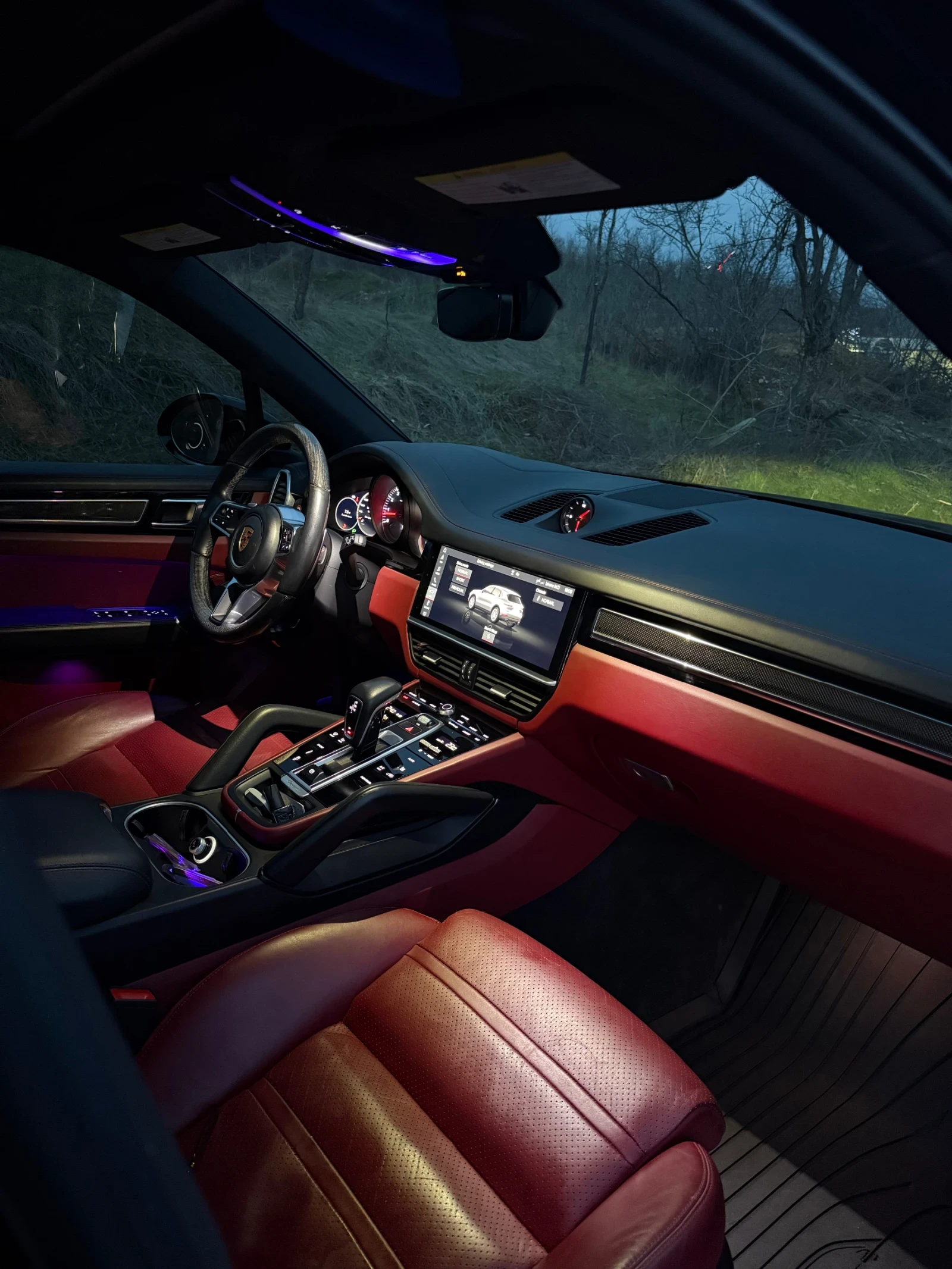 Porsche Cayenne  Cayenne S - изображение 9