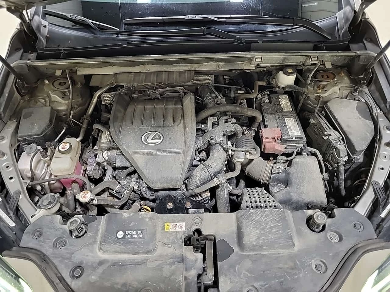 Lexus NX 350 F-Sport  * CARFAX * , снимка 16 - Автомобили и джипове - 54701967