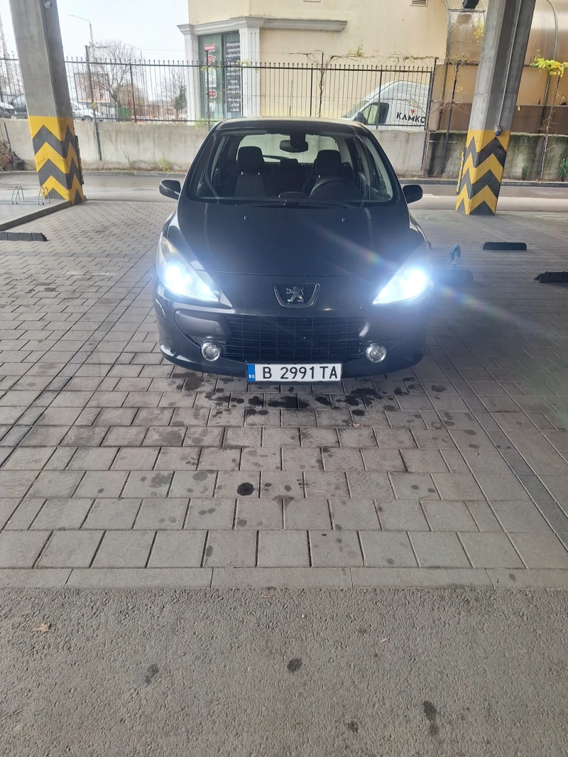 Peugeot 307 1.6HDI, снимка 1 - Автомобили и джипове - 48488345