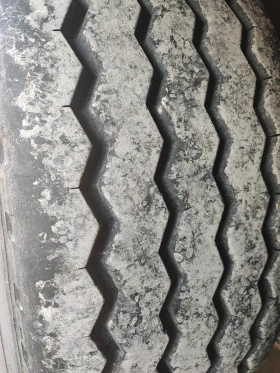 ����������� Schmitz | Mobile.bg � ����� ������ 9