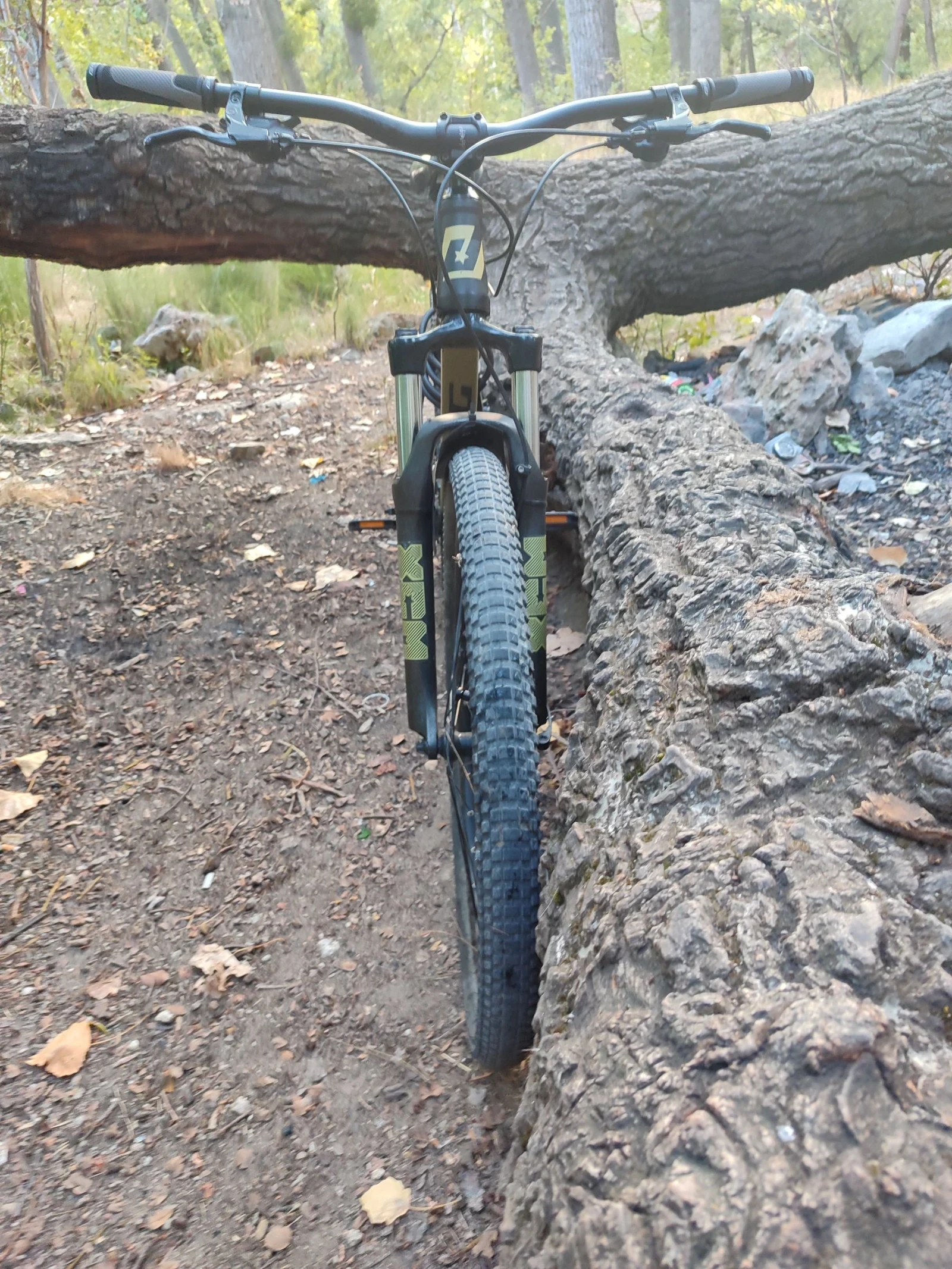  C1 fun  | Mobile.bg   3