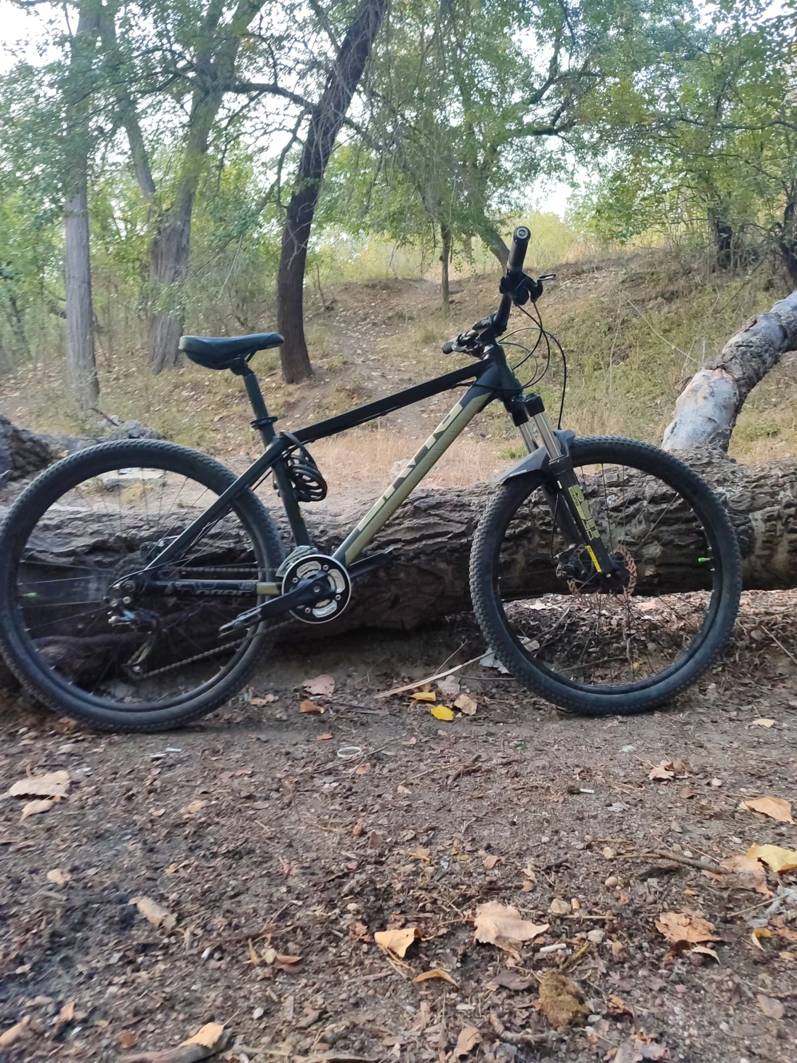  C1 fun  | Mobile.bg   5