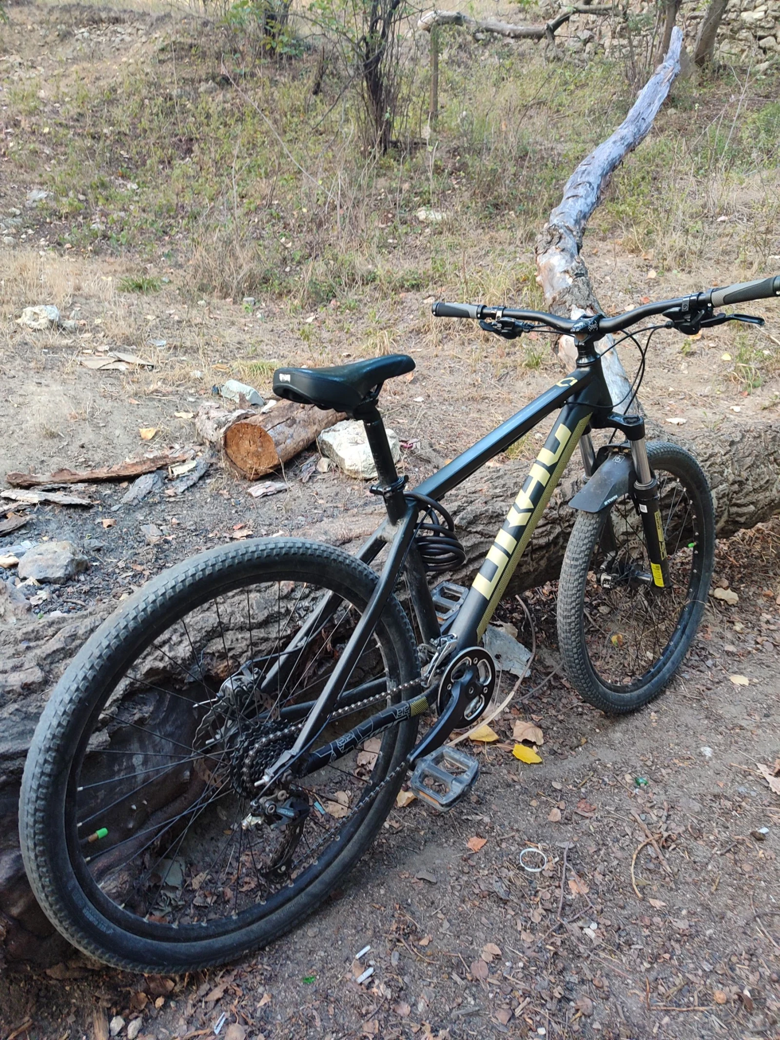  C1 fun  | Mobile.bg   4