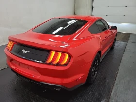 Ford Mustang * ECOBOOST * CARFAX *    | Mobile.bg    3