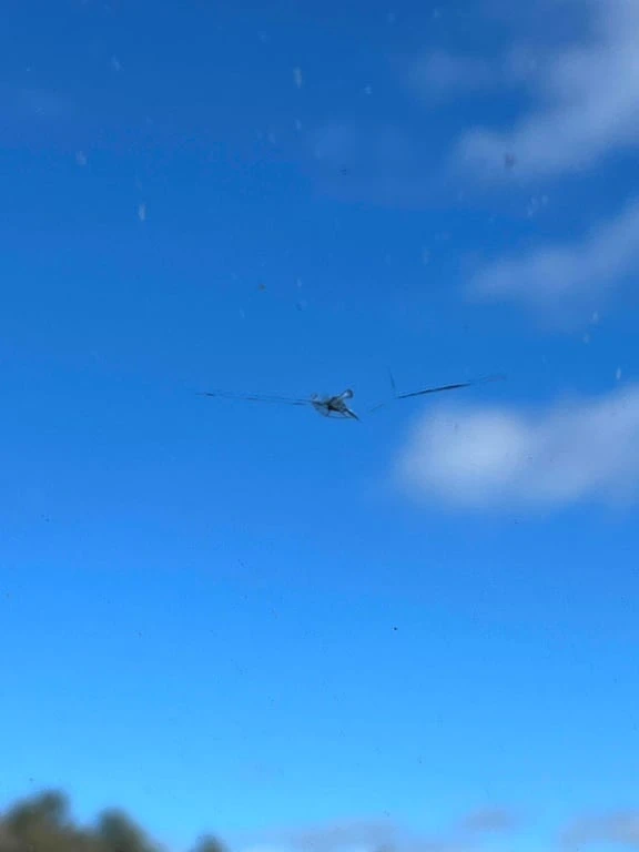 Audi Q8 * Progressiv * CARFAX * ЦЕНА ДО БГ, снимка 13 - Автомобили и джипове - 53305579