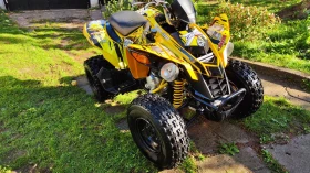 Can-Am DS Can am 250 DS, снимка 11