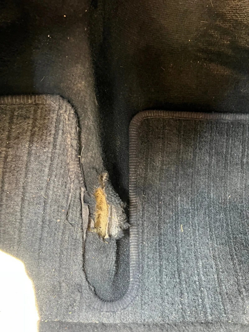 Mercedes-Benz E 350 CDI , снимка 13 - Автомобили и джипове - 51621387