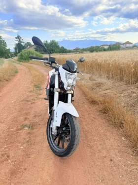 Benelli 250, снимка 2