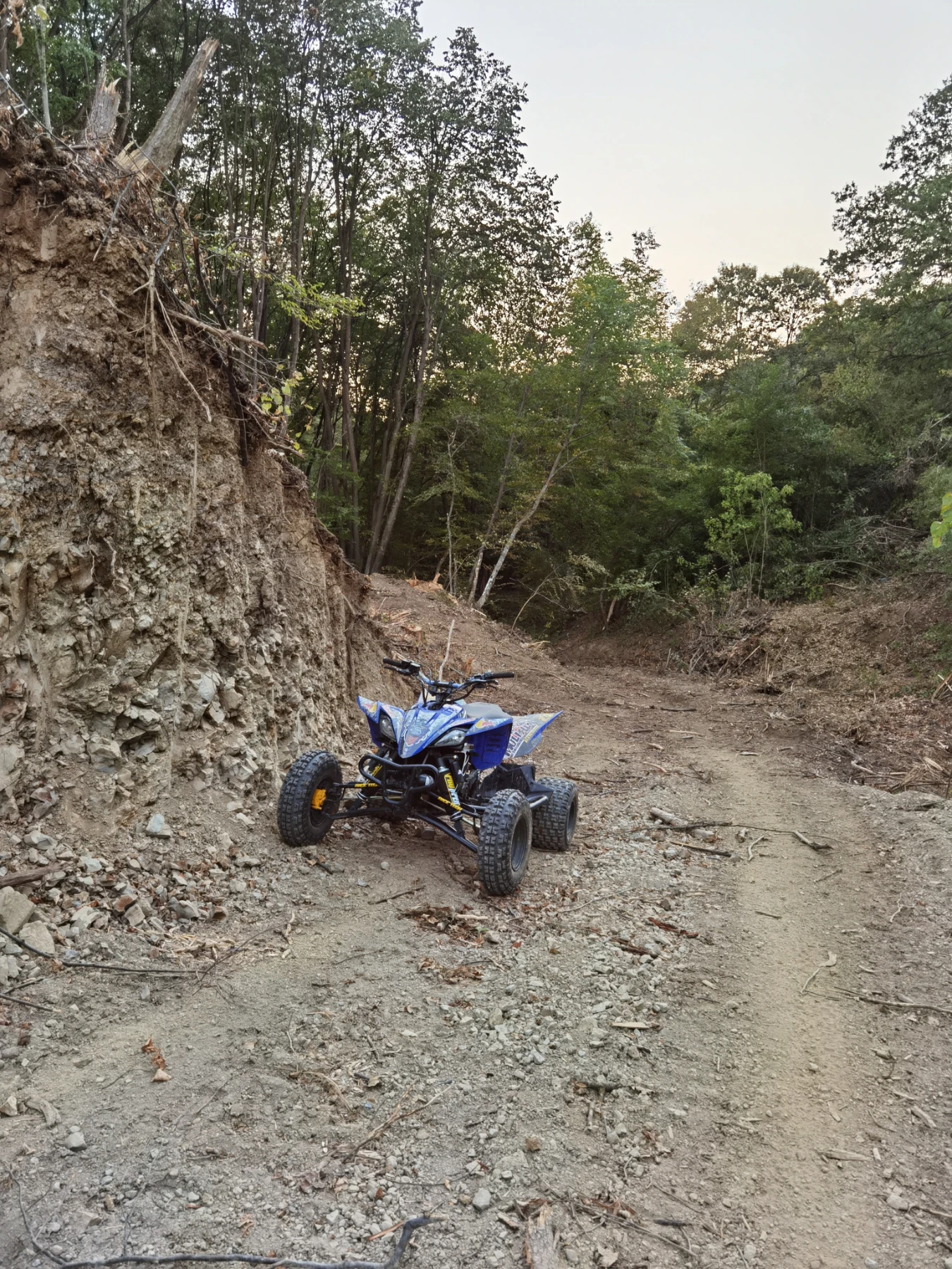 Yamaha Yzf 450R - изображение 4