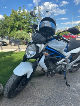Suzuki Gladius 650