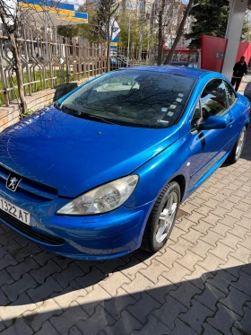  Peugeot 307